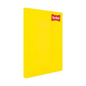Cuaderno forma forma francesa scribe clasico raya
